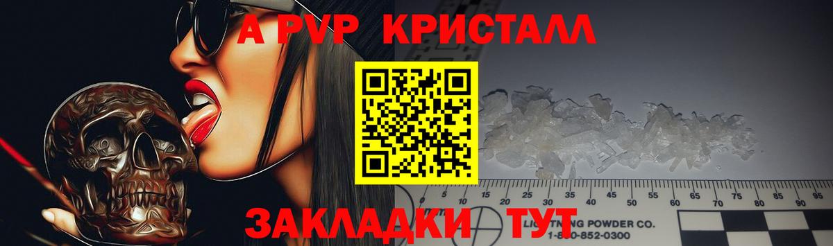 Альфа ПВП СК Назрань