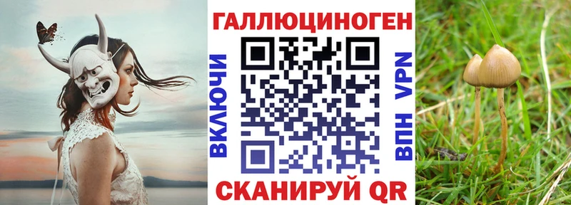 Псилоцибиновые грибы прущие грибы  дарк нет Telegram  Назрань  где можно купить   ссылка на мегу рабочий сайт 