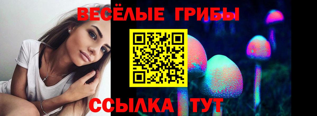 Назрань  Псилоцибиновые грибы Psilocybe  Вход с VPN 